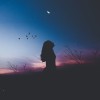 afterglow-avian-backlit-556663.jpg