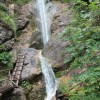 podvolovjek IMG_0296.JPG