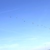 img_1628_000.jpg