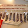 skocjan_053.jpg