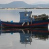 IMG_8179.JPG