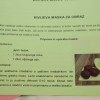 tekmovanje28.jpg