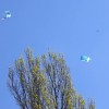 bombnik_057.jpg