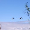 bombnik_068.jpg