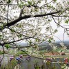 vn_adriamobil_1760_190407_vp.jpg