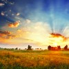 shutterstock_116368246.jpg