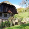 zelisca_006.jpg