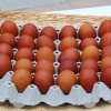 velika_noc29.jpg