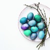 pirhi 11 shutterstock_1279288480.jpg