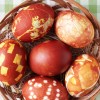 pirhi shutterstock_100144901.jpg