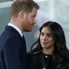 meghan 2 profi.jpg