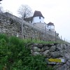 img_2556_000.jpg