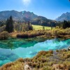 zelenci.jpg