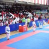 _zzzzzzzzkarate__20_.jpg