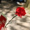 img_3799.jpg