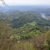 img_2658_000.jpg