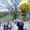 img_2684_000.jpg