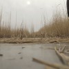 nežidersko jezero.jpg