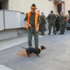 img_9481_1_1_000.jpg