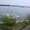 img_2930_000.jpg