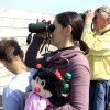 img_2917_000.jpg