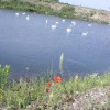 img_2921_000.jpg