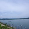 img_2931_000.jpg