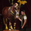 Alex Kaiser cirkus