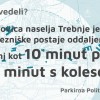 _zzzzzzzztrebnje__6_.jpg
