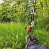 img_3041_000.jpg