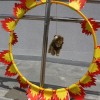 img_3516_000.jpg