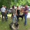 img_9948_40_1_000.jpg