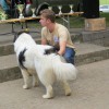 img_0005_5_1_000.jpg