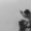 ac5b4cf396323734611266adb6866515.jpeg