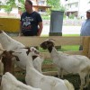 img_9972_64_1_000.jpg
