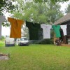 img_9981_73_1_000.jpg