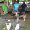 img_9952_44_1_000.jpg