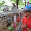 img_9991_83_1_000.jpg