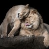 shutterstock_589047086.jpg