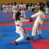 _zzzzzzzzzkarate__12_.jpg