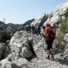 _zzzzzzvelebit__10_.jpg