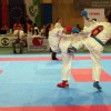 _zzzzzzzzzkarate__33_.jpg