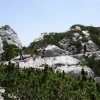 _zzzzzzvelebit__23_.jpg