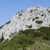 _zzzzzzvelebit__29_.jpg