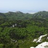 _zzzzzzvelebit__31_.jpg