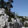 _zzzzzzvelebit__11_.jpg