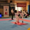 _zzzzzzzzzkarate__37_.jpg