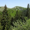 _zzzzzzvelebit__03_.jpg