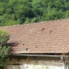 ttoca__25_.jpg