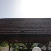 ttoca__35_.jpg